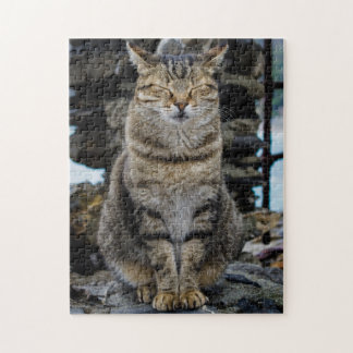 Photo Puzzle - Cat in Cinque Terre, Italy