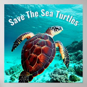 Photo Realistic Sea Turtle   Save The Sea Turtles Poster