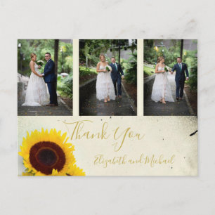 Photo Rustic Sunflower Elegant Wedding Thank You Postcard