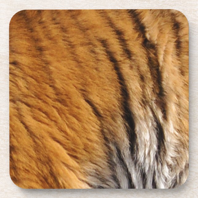 Photo-sampled Tiger Stripes Big Cat Wildlife Coaster (Front)