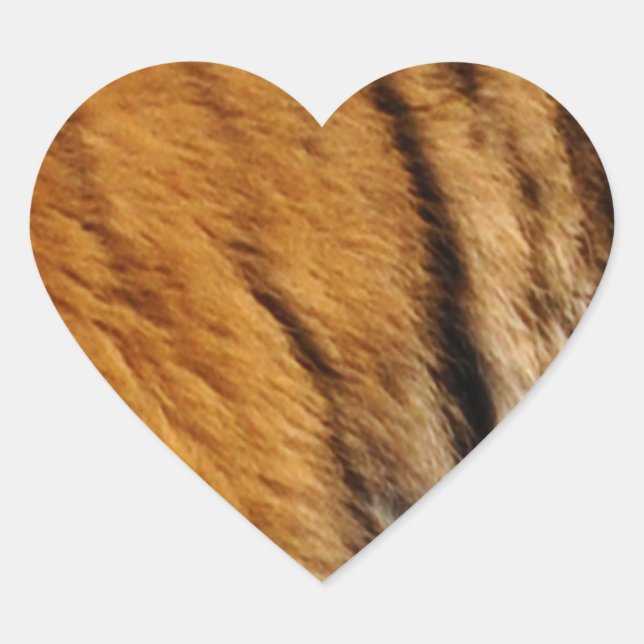 Photo-sampled Tiger Stripes Big Cat Wildlife Heart Sticker (Front)