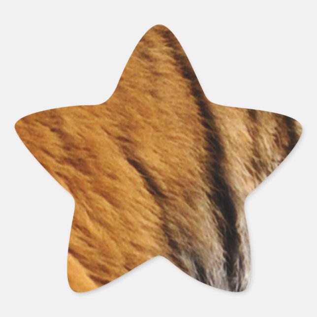 Photo-sampled Tiger Stripes Big Cat Wildlife Star Sticker (Front)