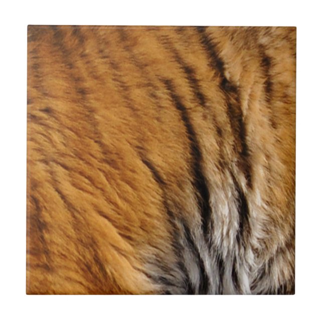 Photo-sampled Tiger Stripes Big Cat Wildlife Tile (Front)