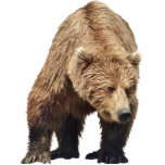 Photo Sculpture of grizzly bear<br><div class="desc">Photo Sculpture of grizzly bear    Created by bearsandmore</div>
