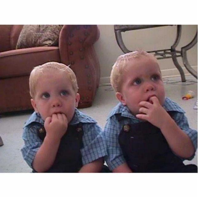 Photo Sculptures (Front)