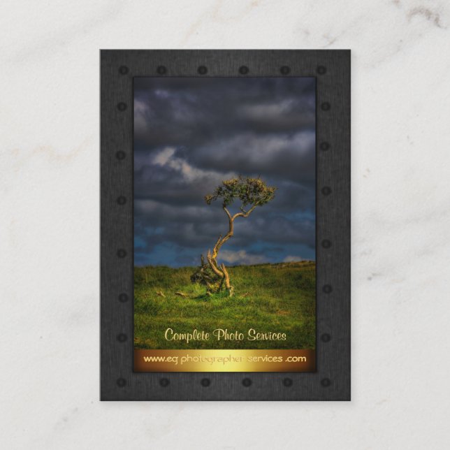 Photo Services - fine art lone bush, metal frame Business Card (Front)