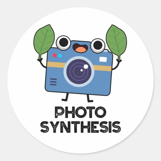 Photo Syntesis Cute Camera Pun Classic Round Sticker (Front)