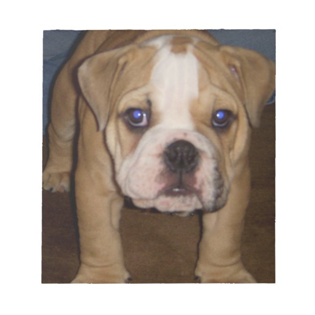 Photo Te, mplate Notepad (Front)