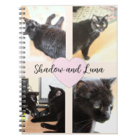Photo Template Pet Friends With Custom Names