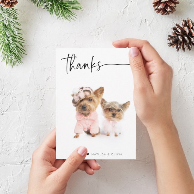 PHOTO THANK YOU modern simple script  (Creator Uploaded)