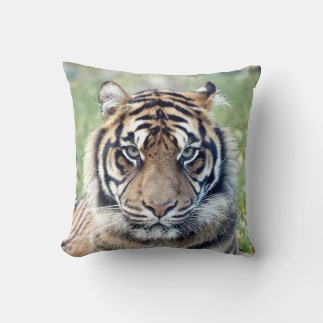 Photo tiger , cat , animals . throw pillow (Front)