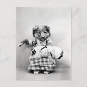 Photo vintage chien postcard