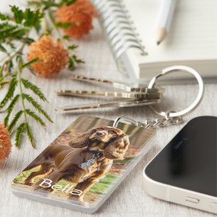 Photo & Watercolor Cocker Spaniel Personalise Key Ring