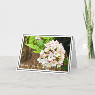 Photo White Viburnum Pink Buds and Green Foliage Card