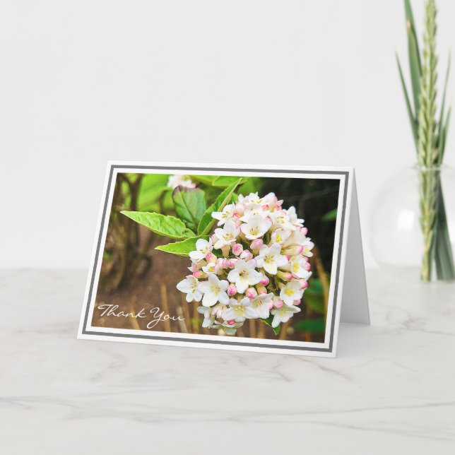 Photo White Viburnum Pink Buds and Green Foliage Card (Front)