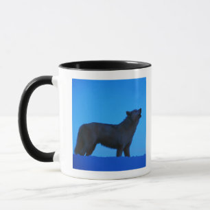 Photo, white wolf howling at night, Colour, High Mug