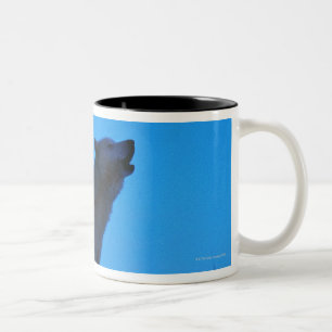 Photo, white wolf howling at night, Colour, High Two-Tone Coffee Mug