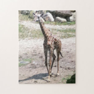Photo Young Giraffe Walking Jigsaw Puzzles