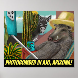 Photobombed in Ajo Arizona, Arizona Postcard Poster