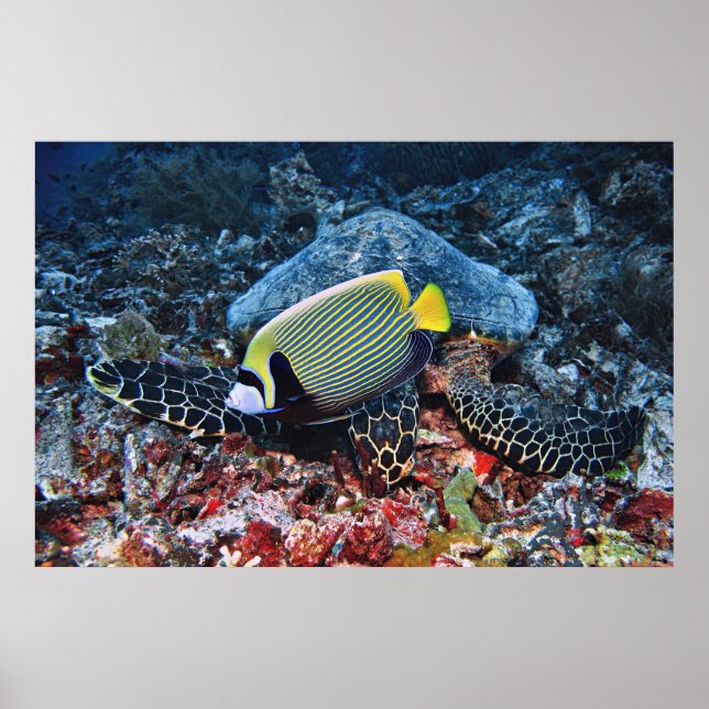 Photobomber Poster (Front)