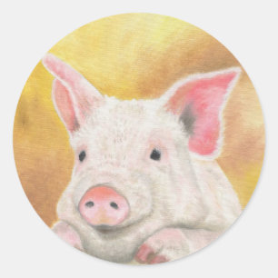 Photogenic piglet sticker