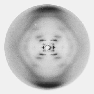 Photograph 51 by Rosalind Franklin | DNA Sticker