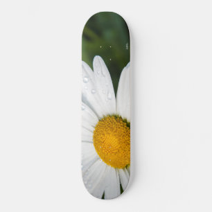 photograph a margueritte, drop of water, make skateboard