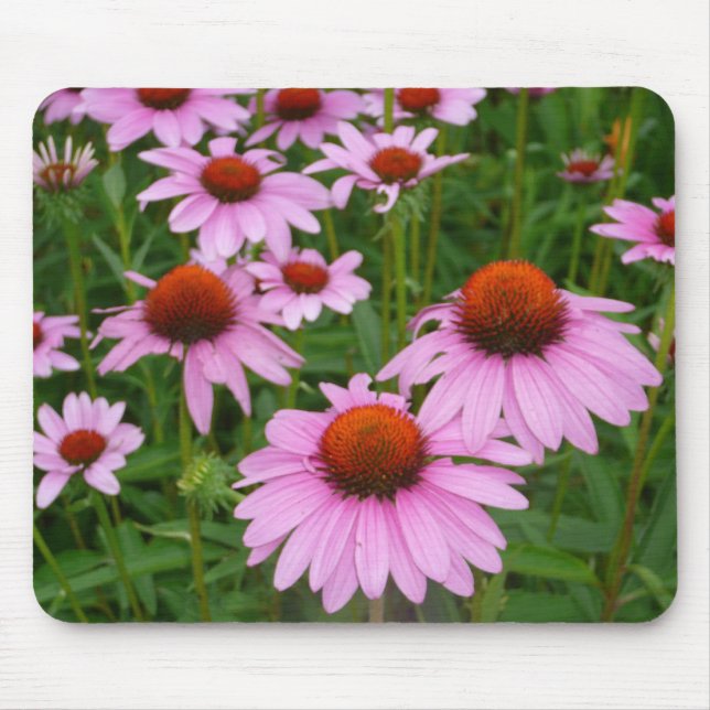 Photograph Hot Pink Flowers in Garden Mouse Mat (Front)