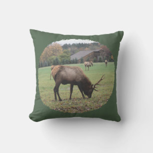 Photograph Large Male Elk Antlers Grazing Barn Cushion