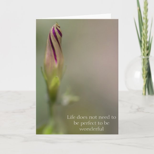 Photograph Morning Glory Flower Bud Greeting Card (Front)