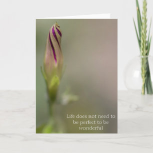 Photograph Morning Glory Flower Bud Greeting Card