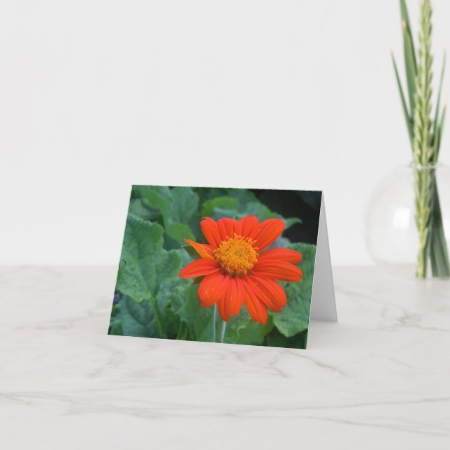 Photograph Notecard (Front)