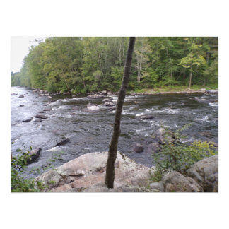 Photograph #O049 on LARGE Poster