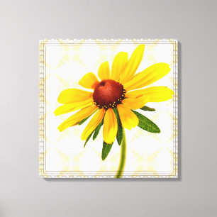 Photograph of A Black-Eyed Susan Blossom Canvas Print