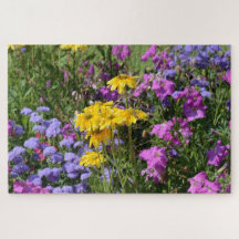 Photograph of a bunch of beautiful coloured flower