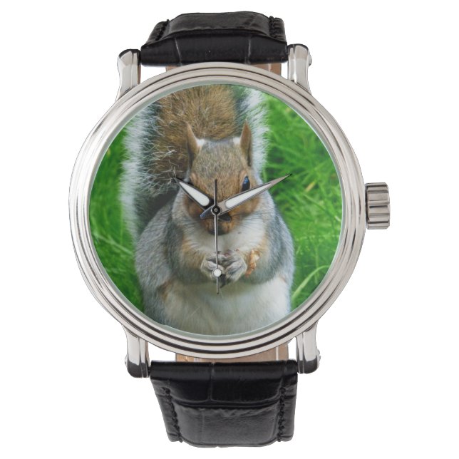 Photograph of a Cute Squirrel in a garden Watch (Front)