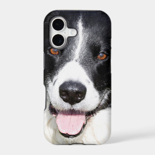 Photograph of a happy dog