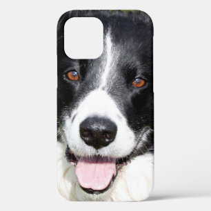 Photograph of a happy dog Case-Mate iPhone case