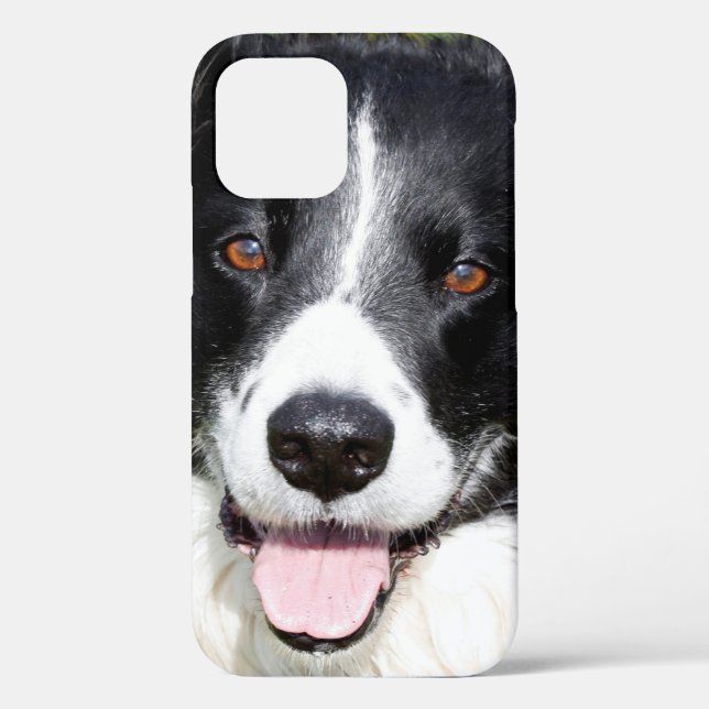 Photograph of a happy dog Case-Mate iPhone case (Back)