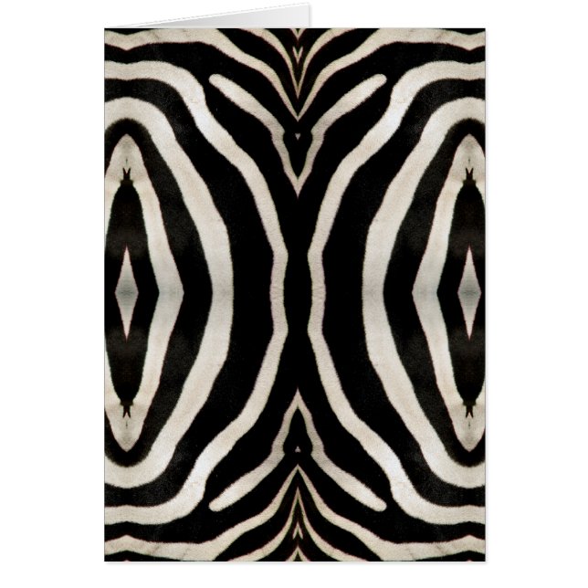 Photograph of a real Zebra's Fur (Front)