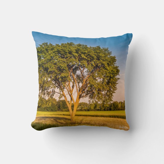 photograph of a tree in fields cushion (Front)