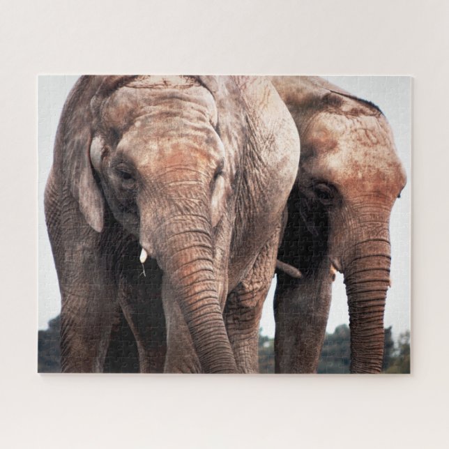 Photograph of Amazing Elephants Jigsaw Puzzle (Horizontal)