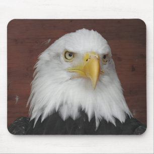 Photograph of an Eagle I Took in Dubuque, Iowa Mouse Mat