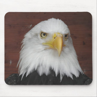 Photograph of an Eagle I Took in Dubuque, Iowa Mouse Mat