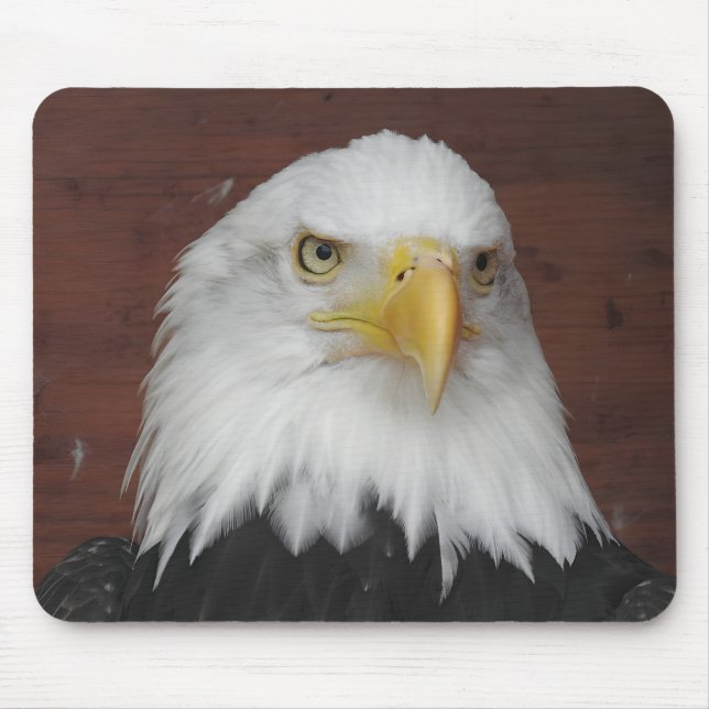 Photograph of an Eagle I Took in Dubuque, Iowa Mouse Mat (Front)