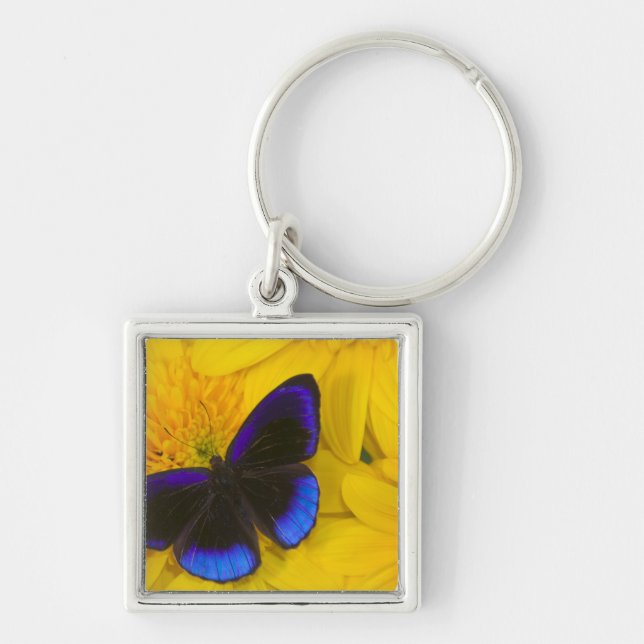 Photograph of Butterfly Key Ring (Front)