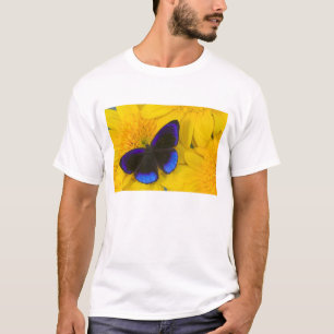 Photograph of Butterfly T-Shirt