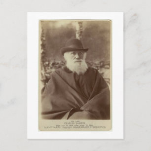 Photograph of Charles Darwin, 29 November 1881 Postcard