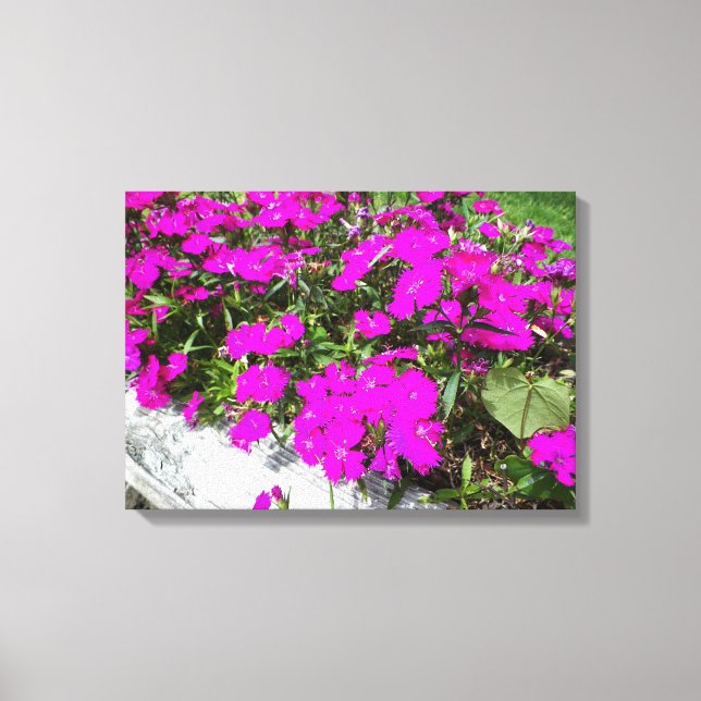 Photograph of Purple Flowers Canvas Print (Front)