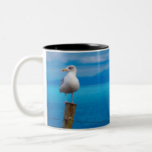 Photograph of seagull bird standing Two-Tone coffee mug